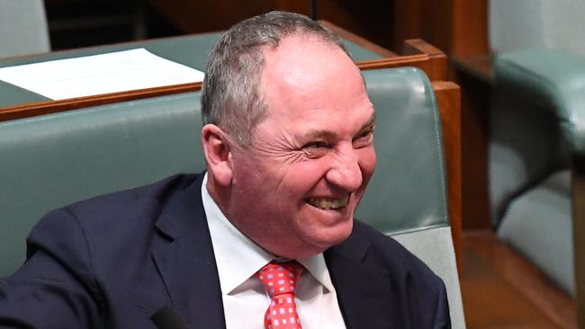 Former deputy prime minister Barnaby Joyce was ruled ineligible by the High Court but has since won a by-election for his seat of New England. File picture