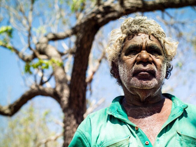 Borroloola traditional owner and artist Jack Green. Picture: Karl Goodsell