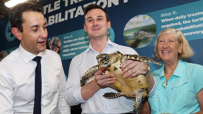 Leader of the Opposition David Crisafulli and Shadow Minister for Environment Sam O'Connor with Dennis the juvenile Hawksbill turtle, and Turtle Triage and Rehabilitation Centre co-founder Jennie Gilbert during a tour of Cairns Aquarium. Picture: Liam Kidston