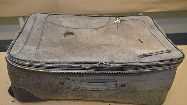 NT joins hunt for girl in suitcase