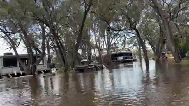 Front lawn at Foxtale Houseboats, Morgan, December 6, 2022 Picture:Supplied