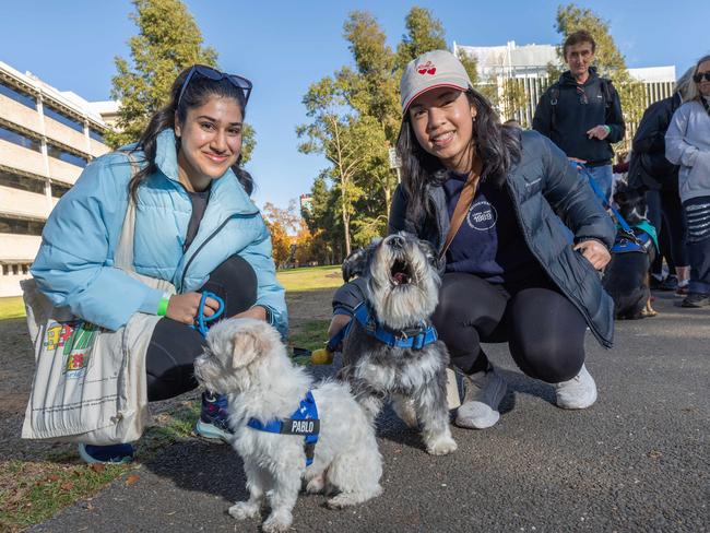 RSPCA SA's Million Paws Walk in Adelaide on May 25, 2025. Picture: Ben Clark