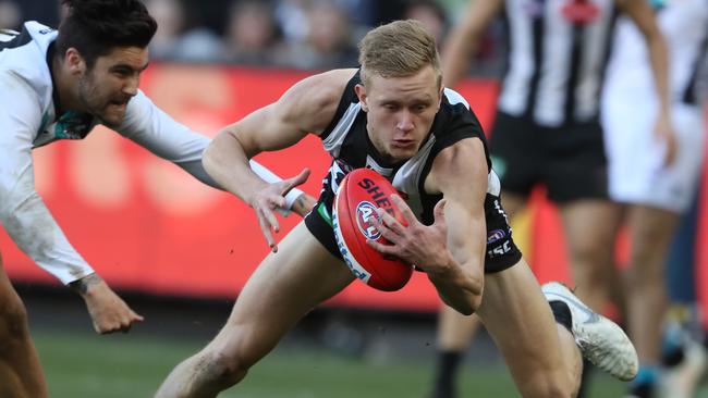 Jaidyn Stephenson is part of Collingwood’s mobile forward line.