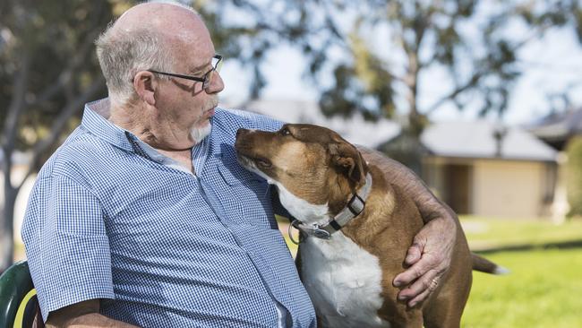 A healthier and happier Ruby with new owner John Venning, who adopted her in 2016. Picture: Simon Cross