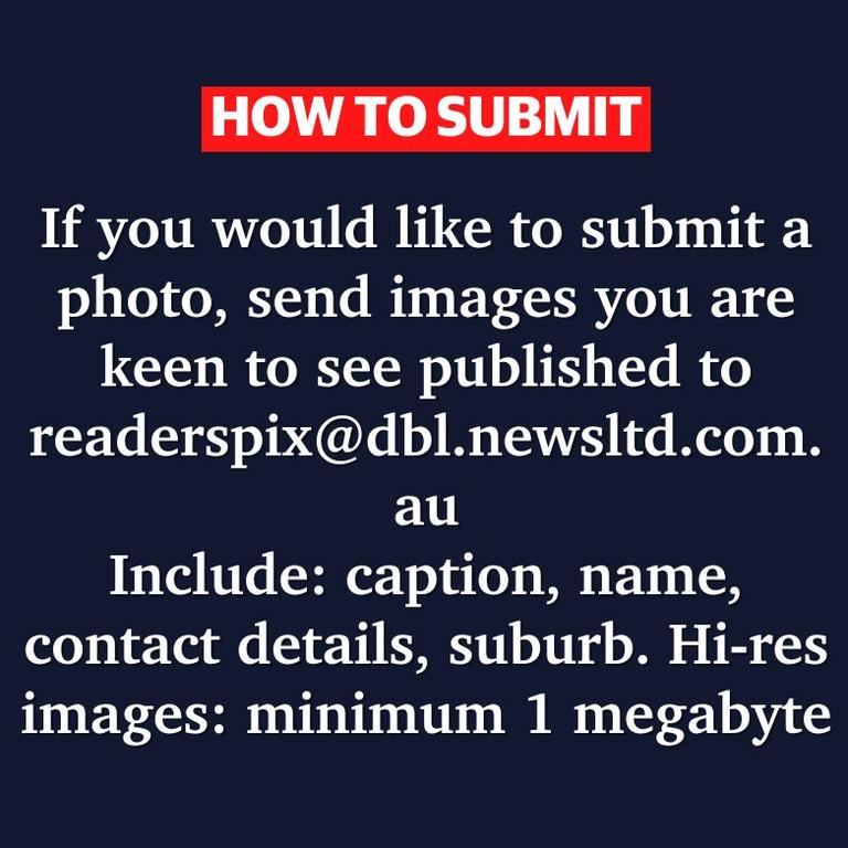 Reader picture how to submit