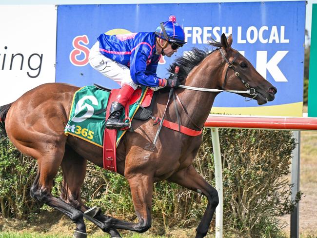 All Pink ridden by Dean Yendall wins the Mt Noorat Freighters 2YO Maiden Plate at Terang Racecourse on April 13, 2025 in Terang, Australia. (Photo by Reg Ryan/Racing Photos via Getty Images)