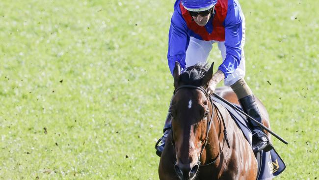 Hugh Bowman on Lost And Running wins the Bisley Workwear Premiere Stakes at Royal Randwick on October 1. Picture: Jenny Evans/Getty Images