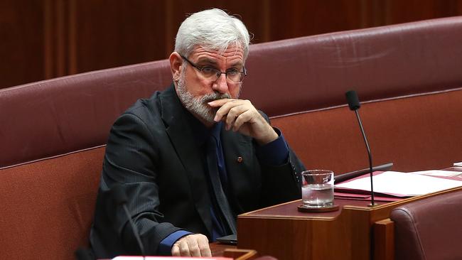 Greens Senator Andrew Bartlett in Senate Question Time last year. Photo: Kym Smith