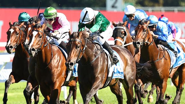 Sires’ Produce winner Manaal is favourite to make a winning return at Randwick on Saturday. Picture: Jeremy Ng/Getty Images