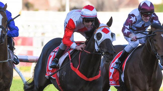 Mystic Journey is drawn make amends in the Cox Plater. Picture: AAP