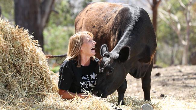 Kym Henley runs Freedom Hill Farm in the Adelaide Hills, where she gives former farm and racing animals a second life. Picture: Tait Schmaal