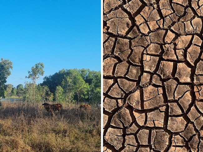 How weathered Qld graziers have prepared for El Nino double hit