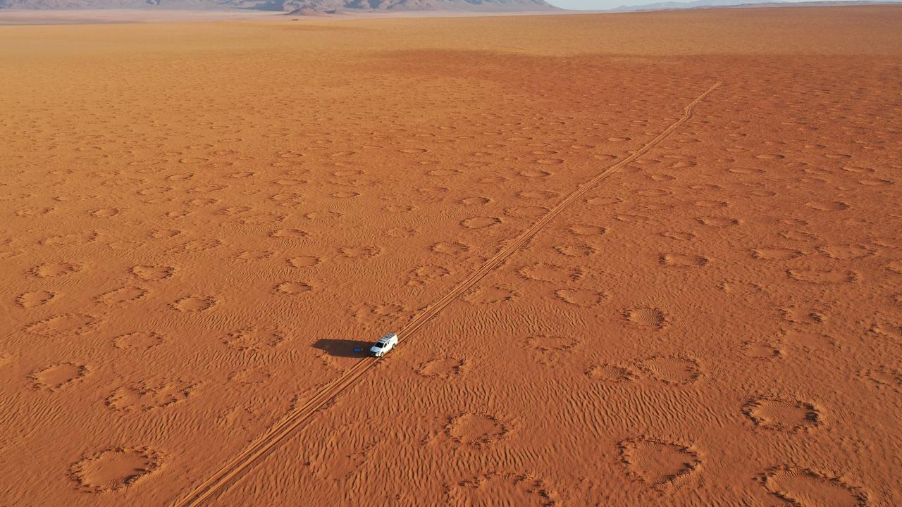 Mystery of 'fairy circles' in Australian deserts finally solved