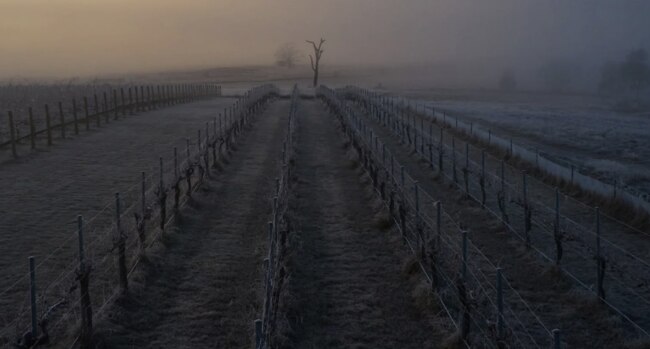 Clonakilla Wines vineyard, source: supplied