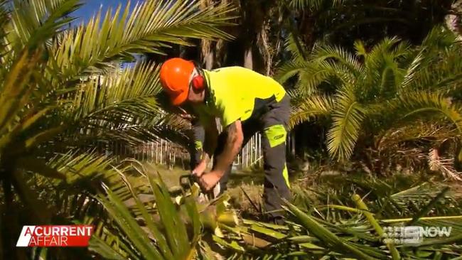 Peter says politicians need to spend a day on the job site to understand what it’s like. Picture: Nine