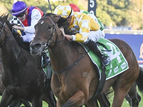 Lady Of Luxury, pictured winning at Randwick in June last year, is Ray Thomas' best value bet on Saturday. Picture: Bradley Photos