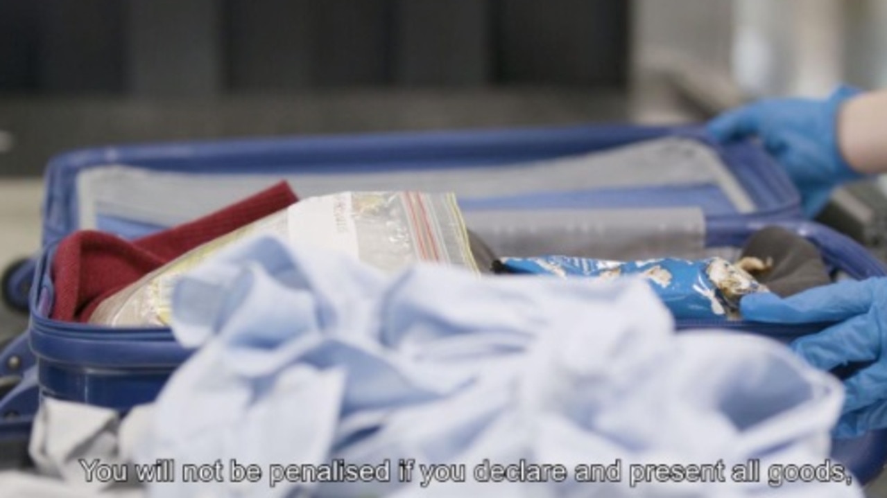 International passengers are played a biosecurity message via video or audio that explains you will be penalised if you don’t declare certain foods and ingredients.