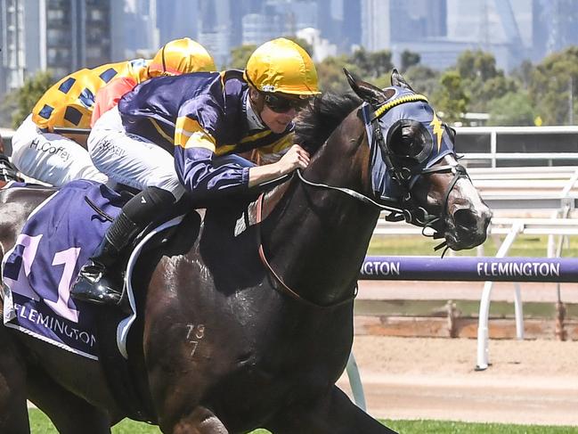 Snapper (NZ) ridden by Jye McNeil wins the Standish Handicap at Flemington Racecourse on January 14, 2023 in Flemington, Australia. (Photo by Brett Holburt/Racing Photos via Getty Images)