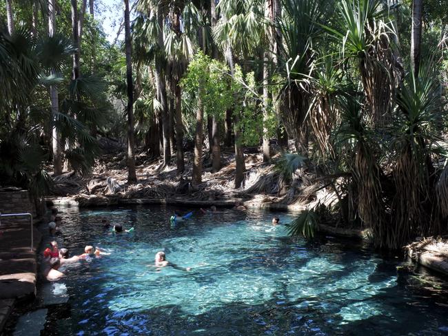 Thermal pools near Katherine, NT. Image via iStock