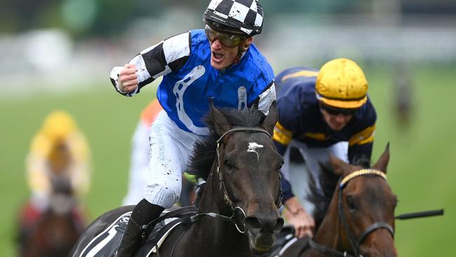 Mark Zahra is on a high after riding Gold Trip to victory in the Melbourne Cup. Picture: Quinn Rooney-Getty Images