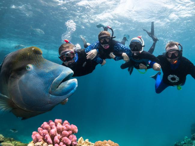 Citizens of the Great Barrier Reef CEO Andy Ridley and Daily Telegraph reporter Jonathon Moran scuba dive at the Great Barrier Reef. Source: Brad Fisher / Ikater Photography