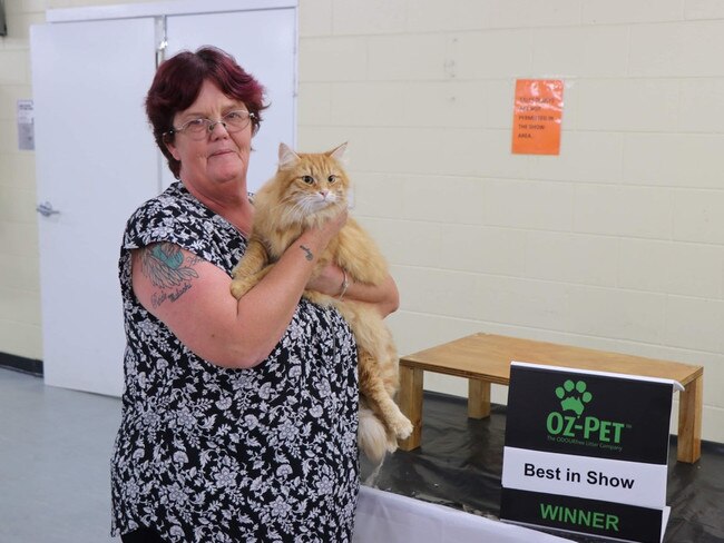 RQCC President Mary West said the “usual crowd favourites” remain the Ragdoll, Persian and Maine Coon breeds.