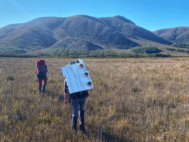 Team members heading out to install nest boxes at Melaleuca. Picture: DPIPWE