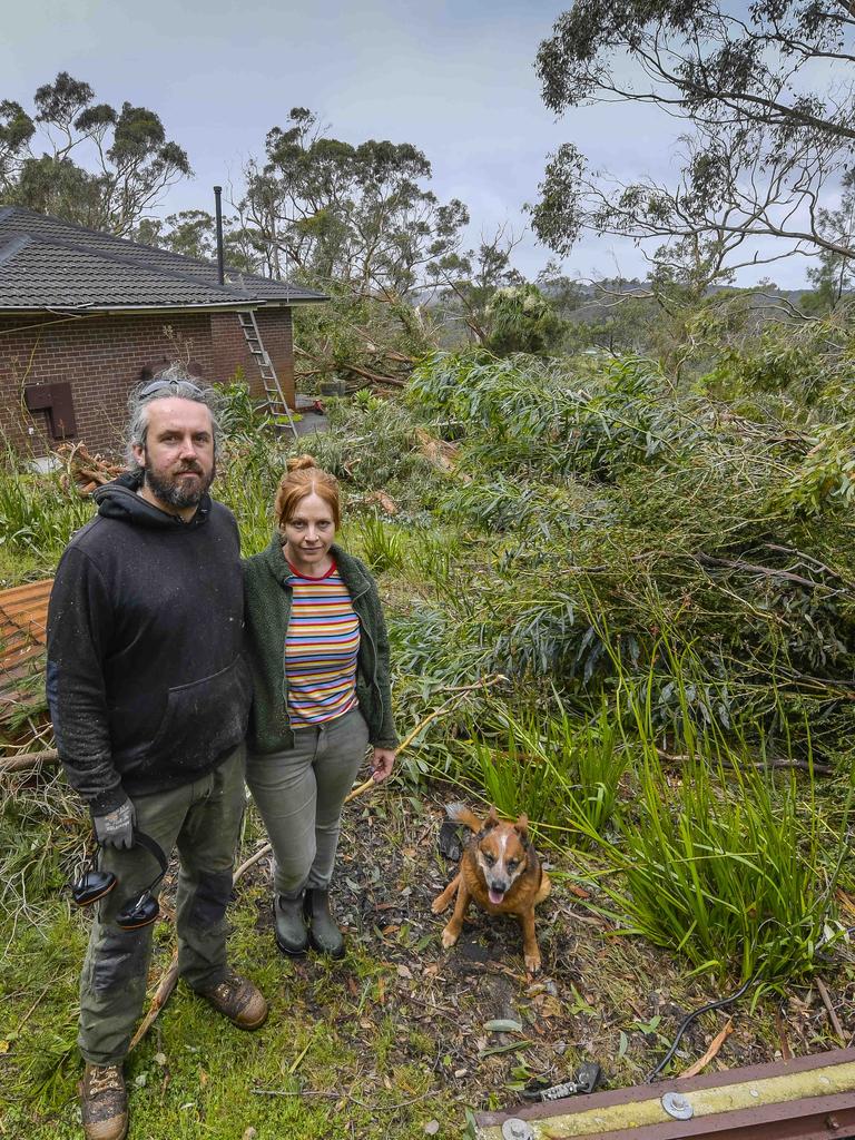 Homeowners Ben Koch and Gemma Opie with there dog Kirra at Upper Sturt. Picture: Roy VanDerVegt