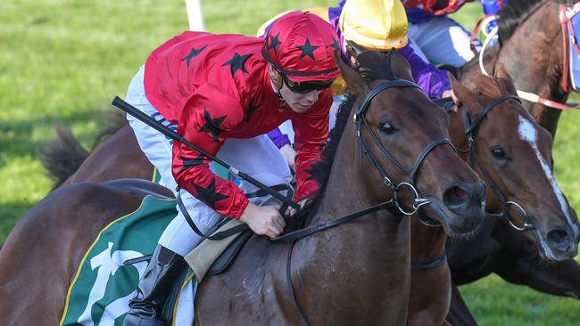 Bravo Tango will have his first start at Caulfield in the Manfred Stakes on Saturday.