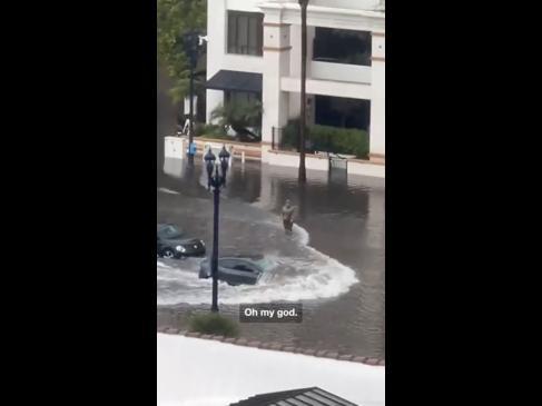 Tesla shocks unlookers by driving through flooded street with ease