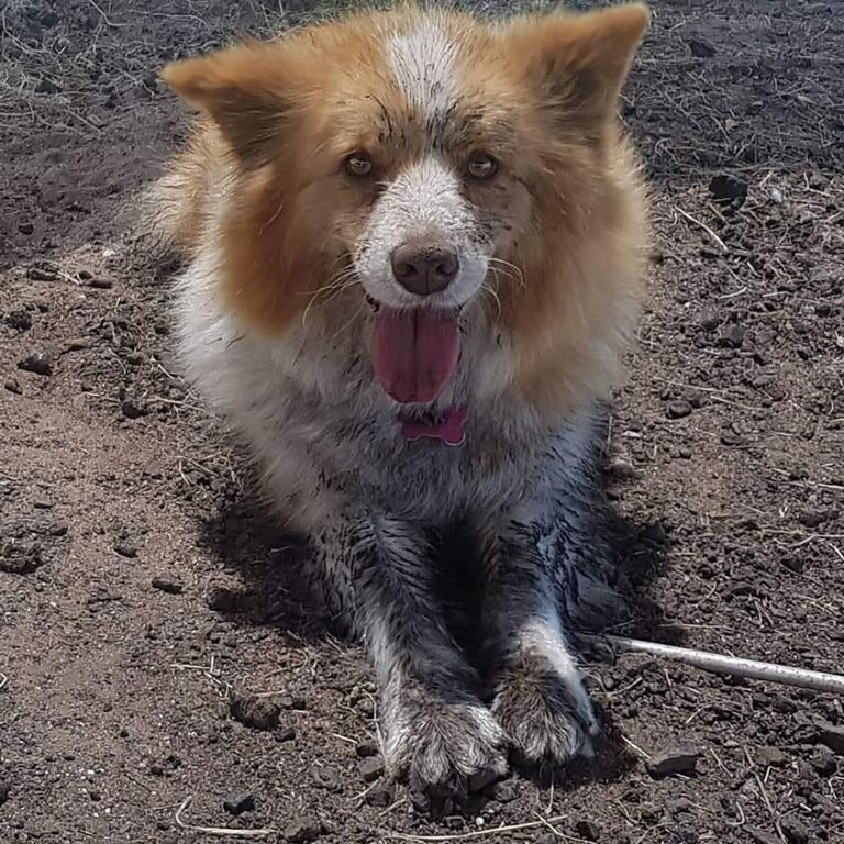 Kimberley De Luchi: "Lady after a fight with the hose". Picture: Kimberley De Luchi