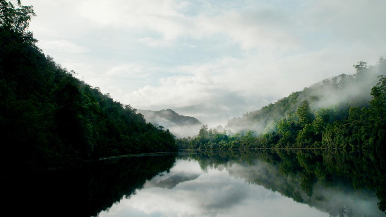 Charles Wooley visits the Tarkine on the Pieman River. Picture: Arron Hage