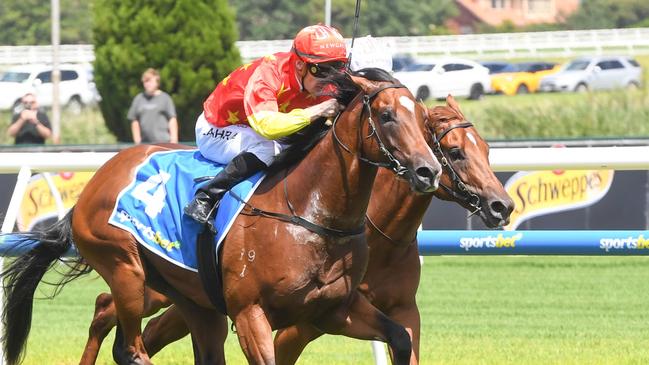 High Octane races past stablemate Holmes A Court (inside) to win the Blue Diamond Preview for colts and geldings at Caulfield on Friday. Picture: Brett Holburt/Racing Photos via Getty Images