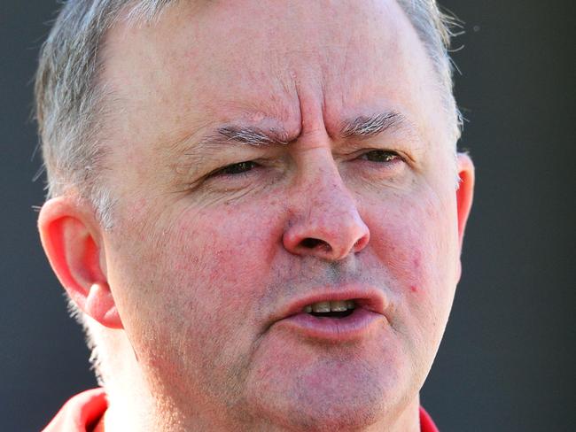 The Townsville Labour Day march along The Strand. Shadow Minister for Transport & Infrastructure, Anthony Albanese. Picture: Zak Simmonds