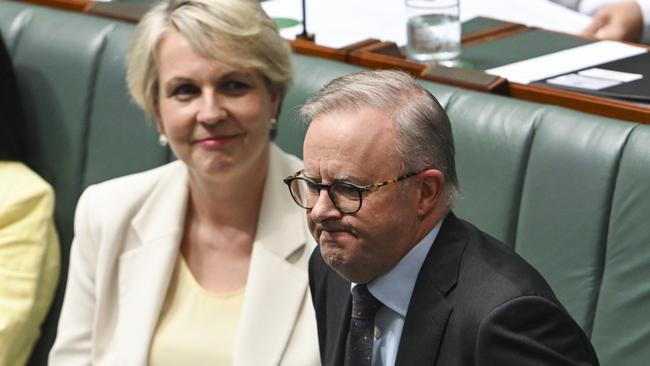 CANBERRA, AUSTRALIA, NewsWire Photos. FEBRUARY 14, 2024: Minister for Environment and Water Tanya Plibersek and Prime Minister Anthony Albanese during Question Time at Parliament House in Canberra. Picture: NCA NewsWire / Martin Ollman