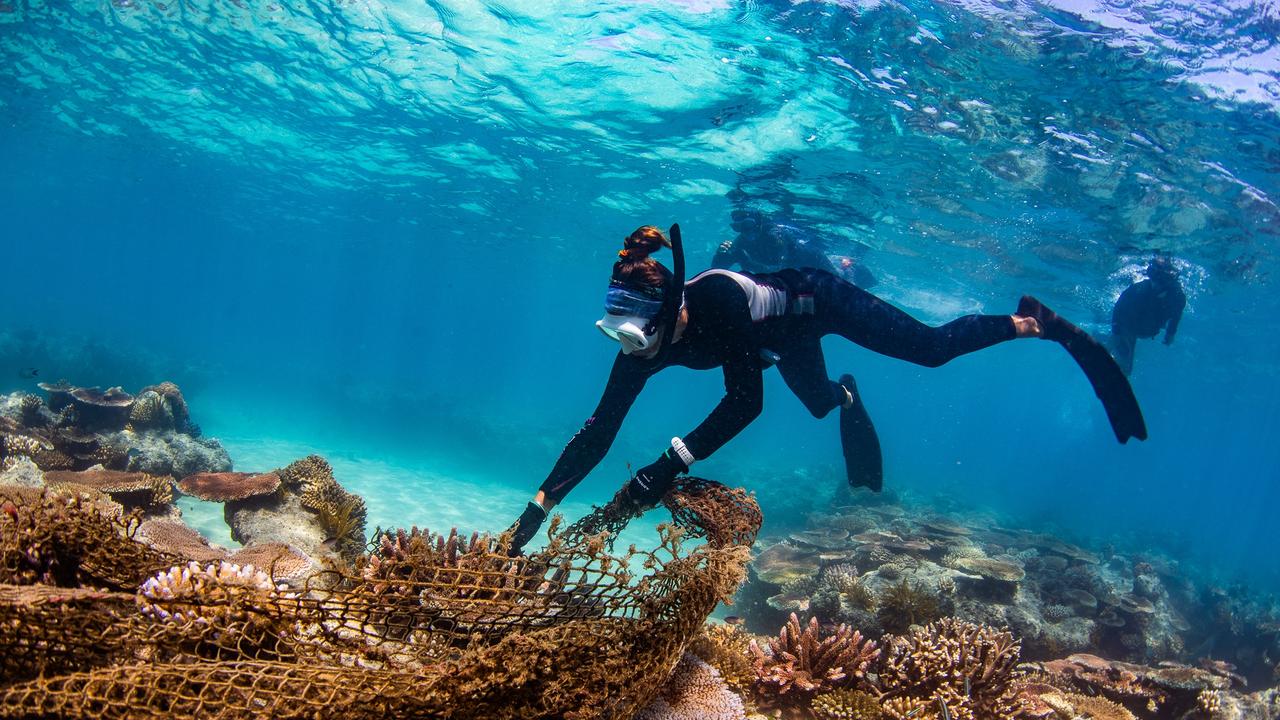 Great Barrier Reef public moorings planned | The Courier Mail