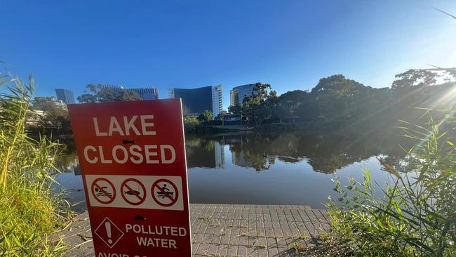 A popular river in Adelaide’s CBD has been closed off after high levels of E.coli were discovered in the water. picture : Facebook