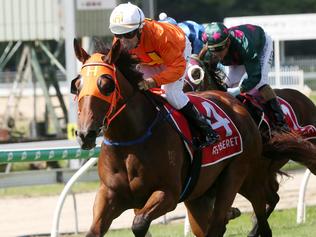 Tablelands trainer rapt in 2yo trio