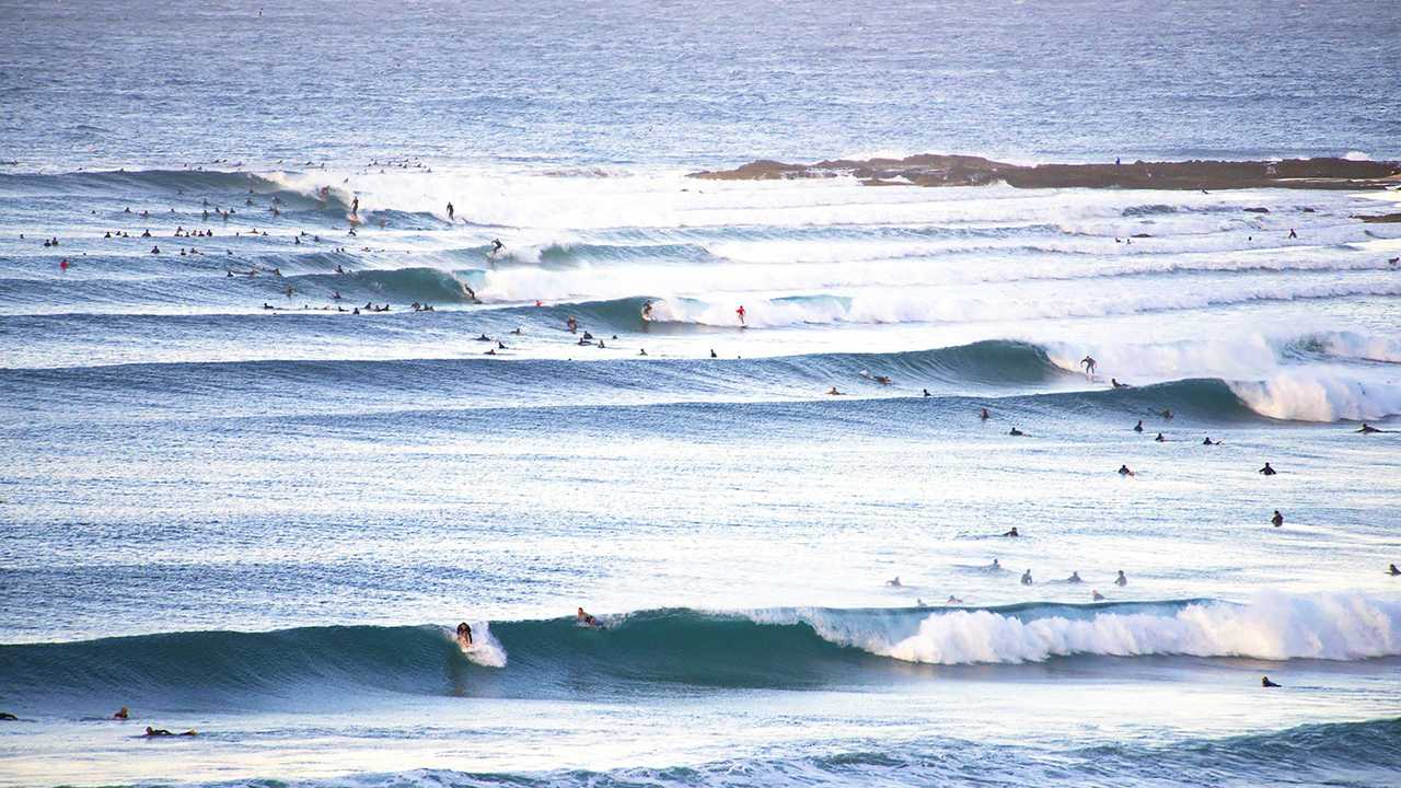 Snapper rocks deals surf club