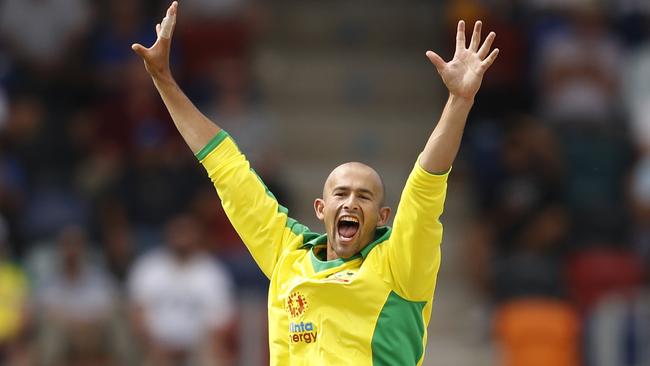 Ashton Agar will be in the mix to tour India. Picture: Phil Hillyard