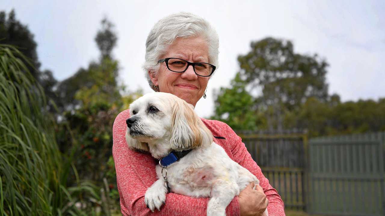 TERRIFYING: Jen Howson with her seven-year-old Maltese cross shih tzu Murphy, who was attacked by two Irish Wolfhounds in a Point Vernon park on Tuesday. Picture: Cody Fox