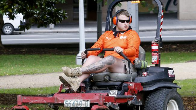 SYDNEY, AUSTRALIA - NewsWire Photos OCTOBER 16 , 2024: Generic Photos of Workers at Work. Parks and Gardens. Picture: NewsWire / John Appleyard