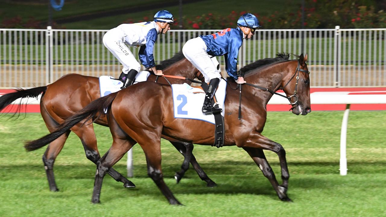 Steparty (no.2), ridden by Blaike McDougall, heads to the barriers for the Group 2 Australia Stakes at Moonee Valley last month. Picture: Brett Holburt / Racing Photos