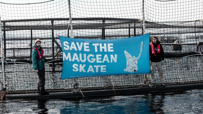 Bob Brown Foundation activists putting a banner up on a salmon pen in Macquarie Harbour. Picture: Supplied.