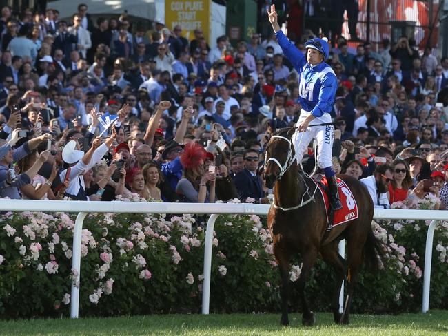 Scene of her greatest triumph: Winx after winning the 2017 Cox Plate. Picture: Stuart Milligan