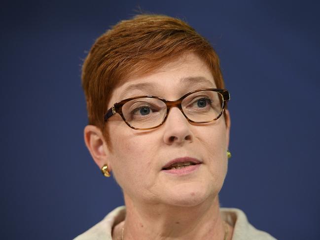 Foreign Minister Marise Payne addresses media in Sydney, Thursday, January 24, 2019. (AAP Image/Dan Himbrechts) NO ARCHIVING