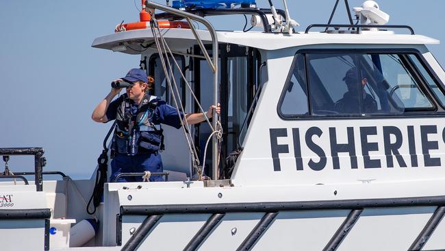 Victorian Fisheries Authority Officer Sarah keeps watch. Picture: Mark Stewart