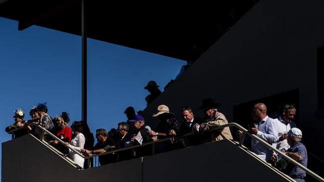 The crowd watches the first runners parade from high in the stands on Grafton Cup day.