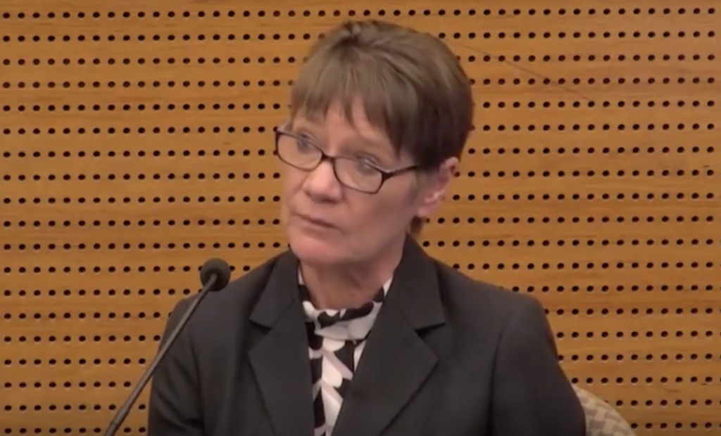 Marion Messih gave evidence at the Banking Royal Commission about her experience with Pie Face.