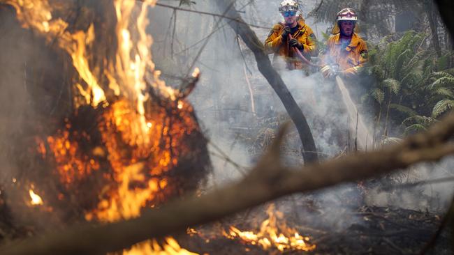 Geeveston volunteer firefighters extinguish a spot fire west of Geeveston. Picture: CHRIS KIDD